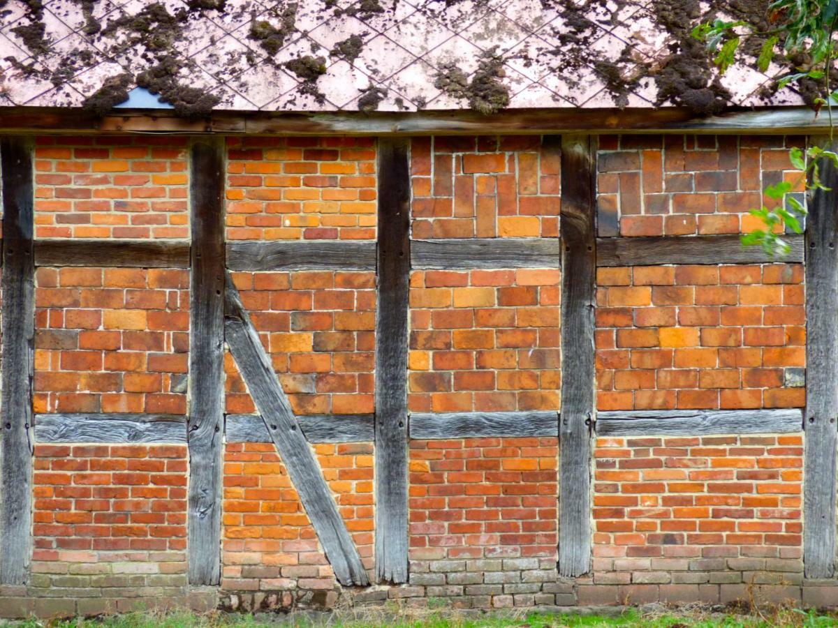 Fewo-Mundi Egestorf Exterior foto